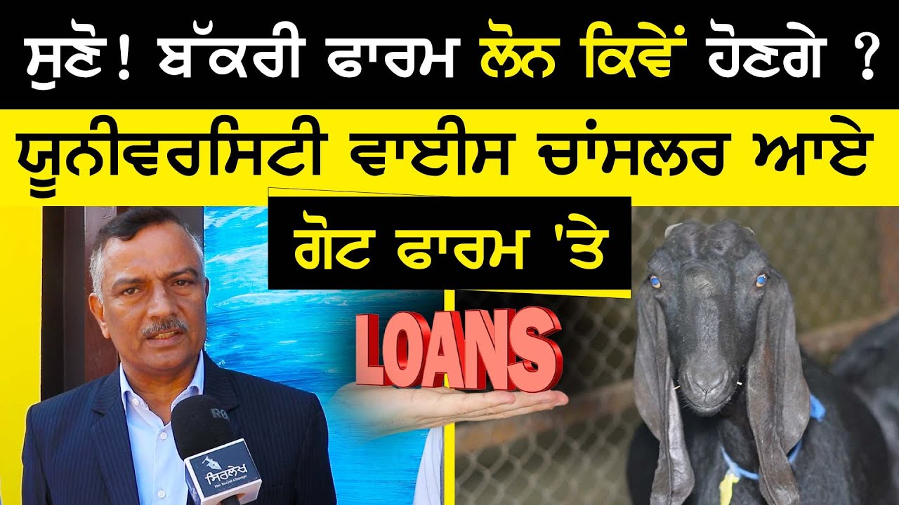 ਸੁਣੋ ! Bakri Farm Loan ਕਿਵੇਂ ਹੋਣਗੇ ? | Dr inderjeet singh vice chancellor | Malwa Goat Farm