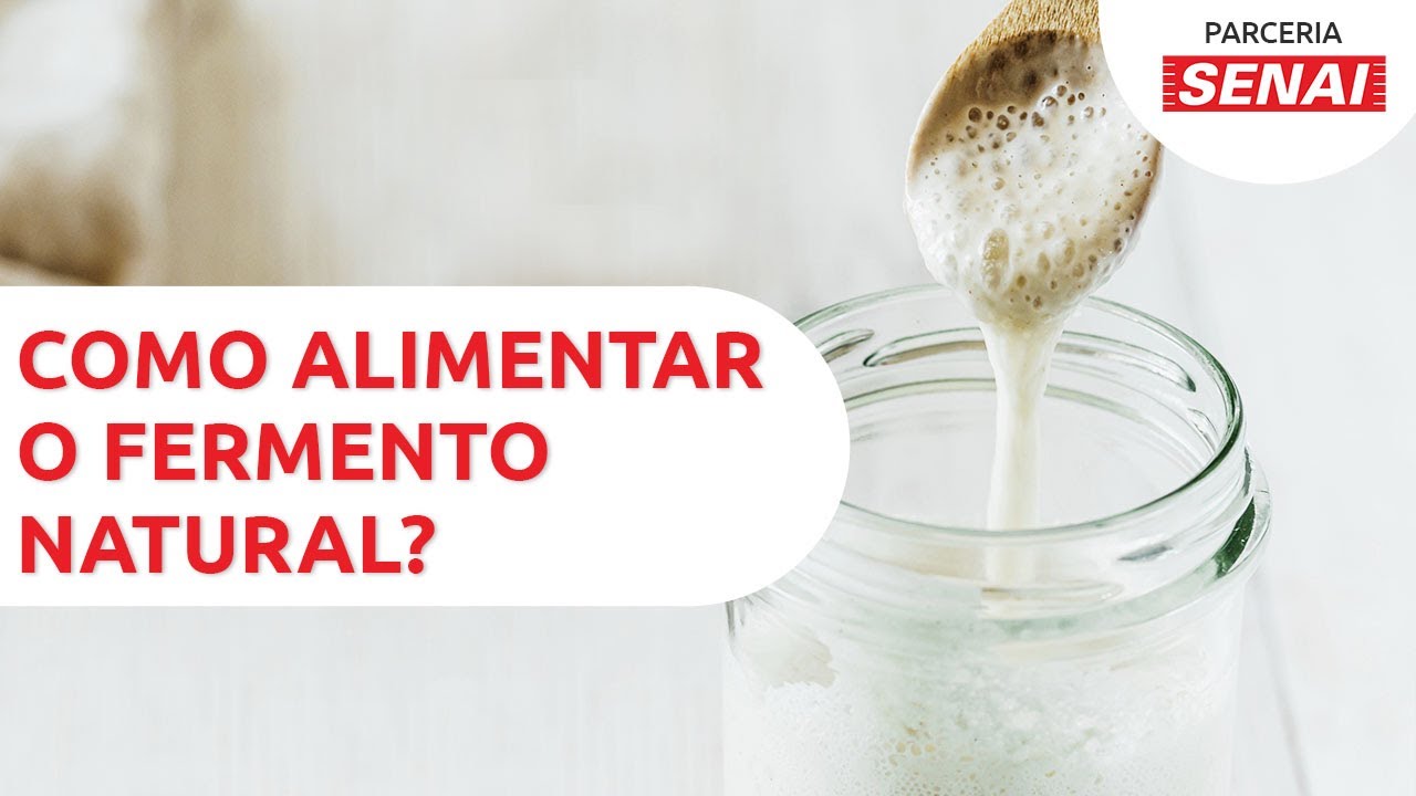 Como alimentar e fazer fermento natural? &ndash; CANAL SENAI-PADACON