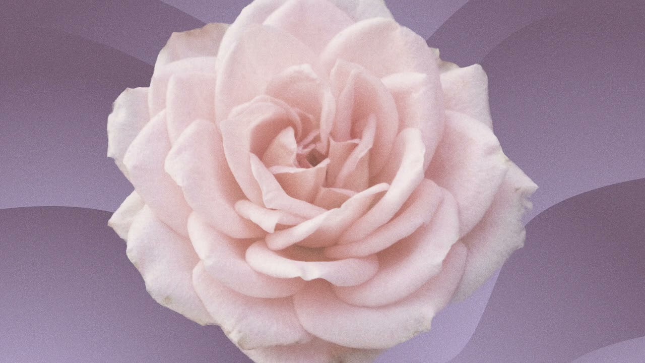 Bloom - Chroma Glow & Drozax