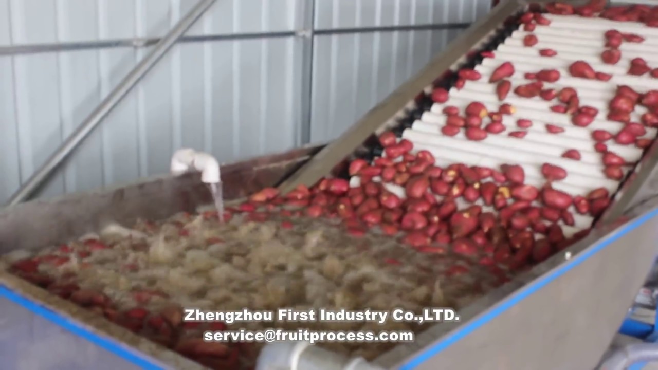 sweet potato washing drying grading machine，sweet potato processing machine