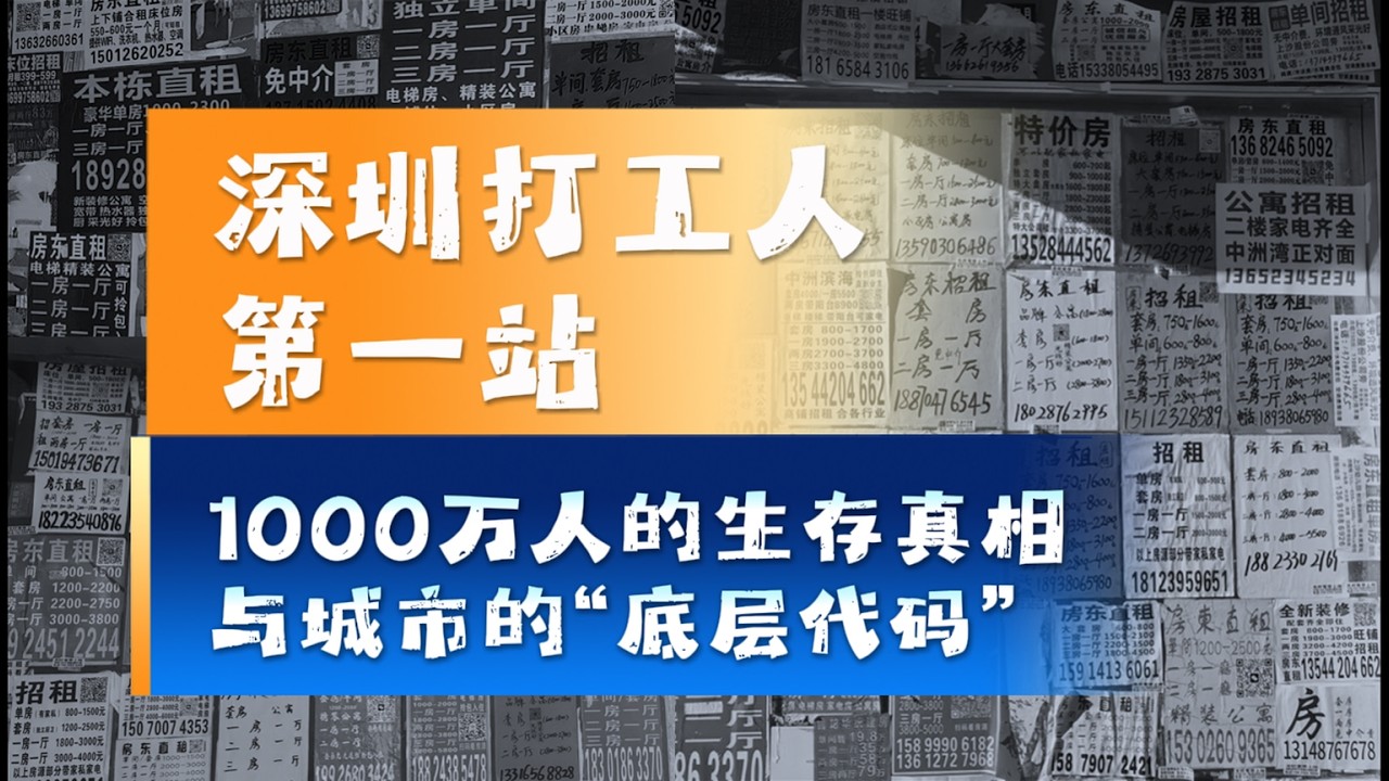 深圳打工人的真实生活：1000万人如何在这座城市活下来？