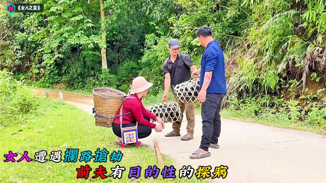 女人遭遇攔路搶劫，前夫有目的性的探病《女人之苦》36