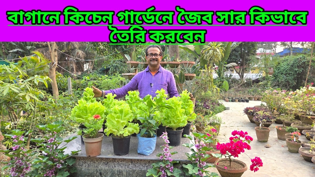 বাগানে কিচেন গার্ডেনে জৈব সার তৈরি কিভাবে করবেন||How To Make Organic Manure In Kitchen Garden||