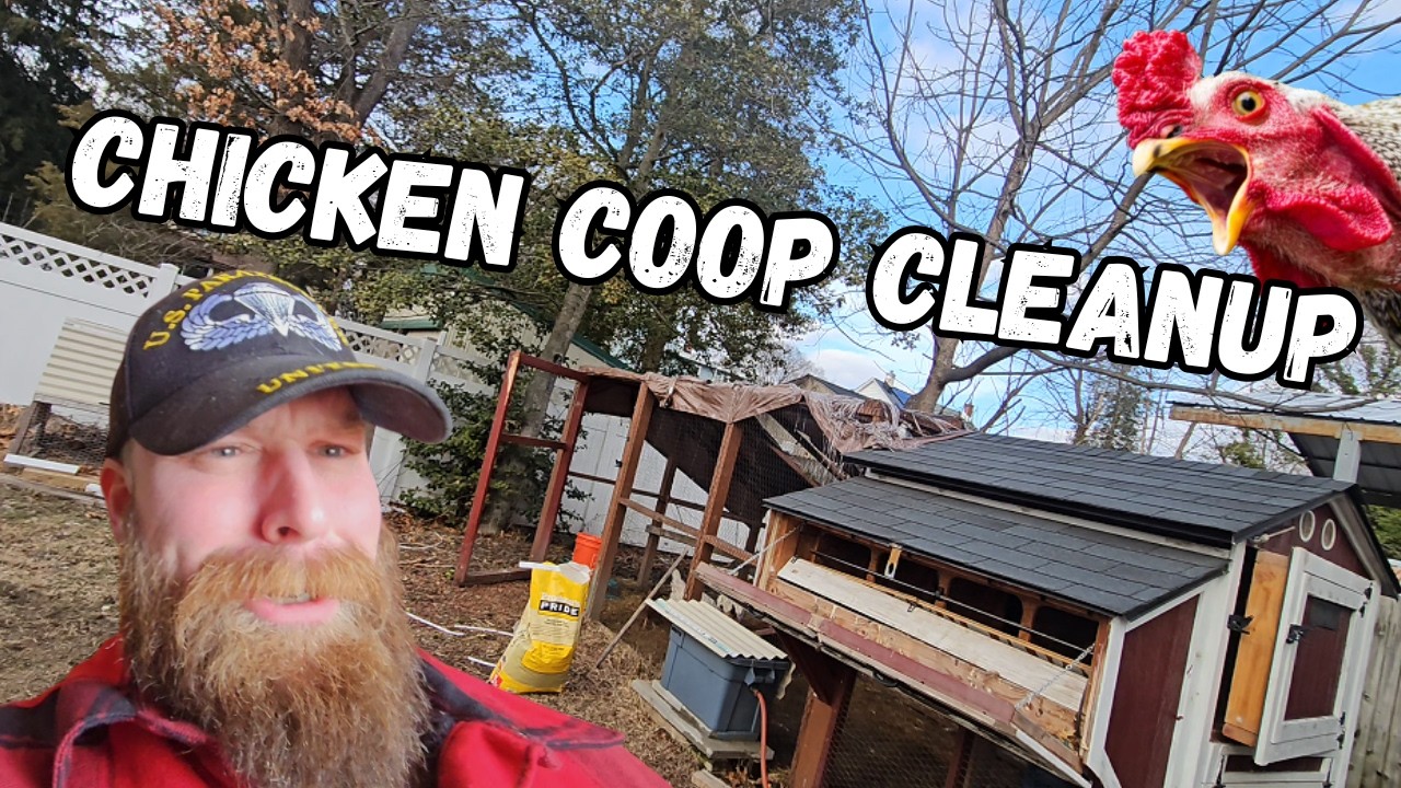 CHICKEN COOP CLEANUP