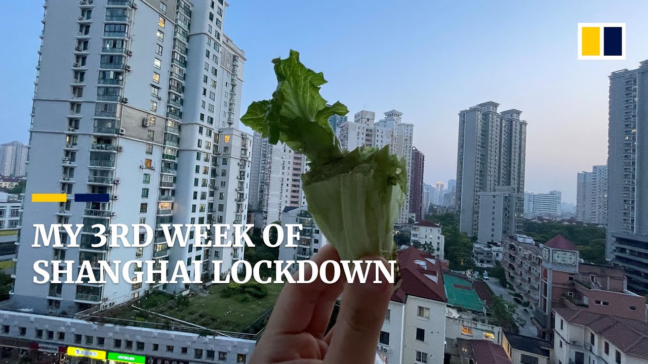 My take: living under Shanghai’s Covid-19 lockdown