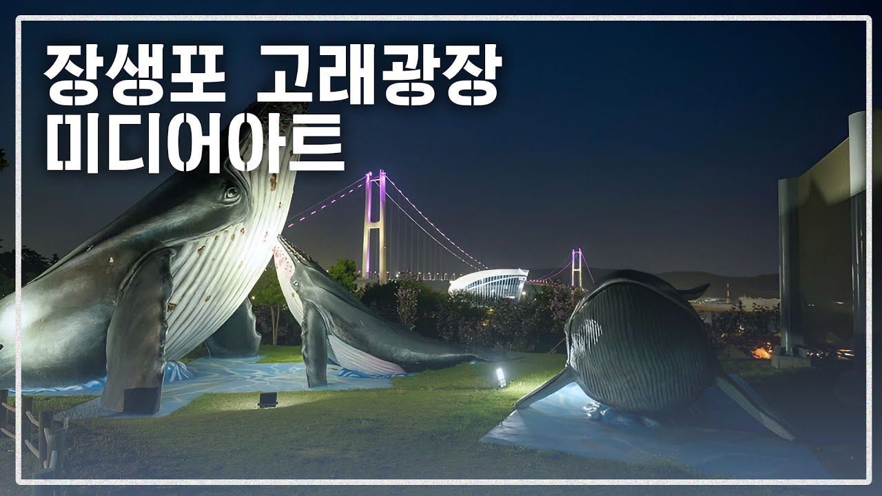 울산 고래광장 미디어아트 소개