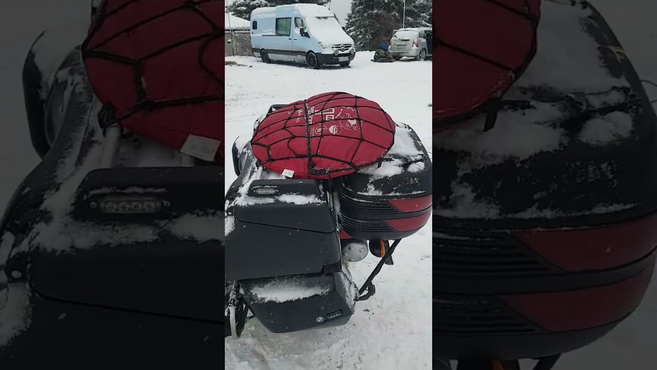 PingwinoSowa styczeń 2026