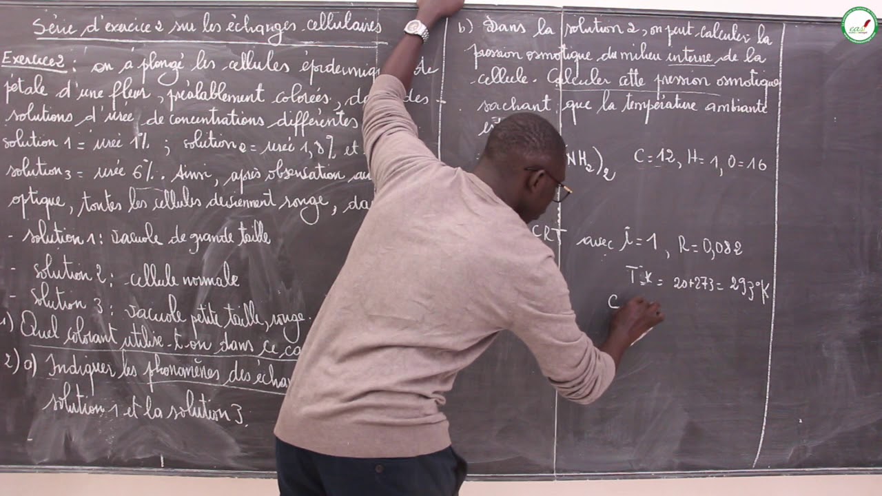 Exercices - Première S - SVT : Les échanges cellulaires / Suite 7 / M. Beye