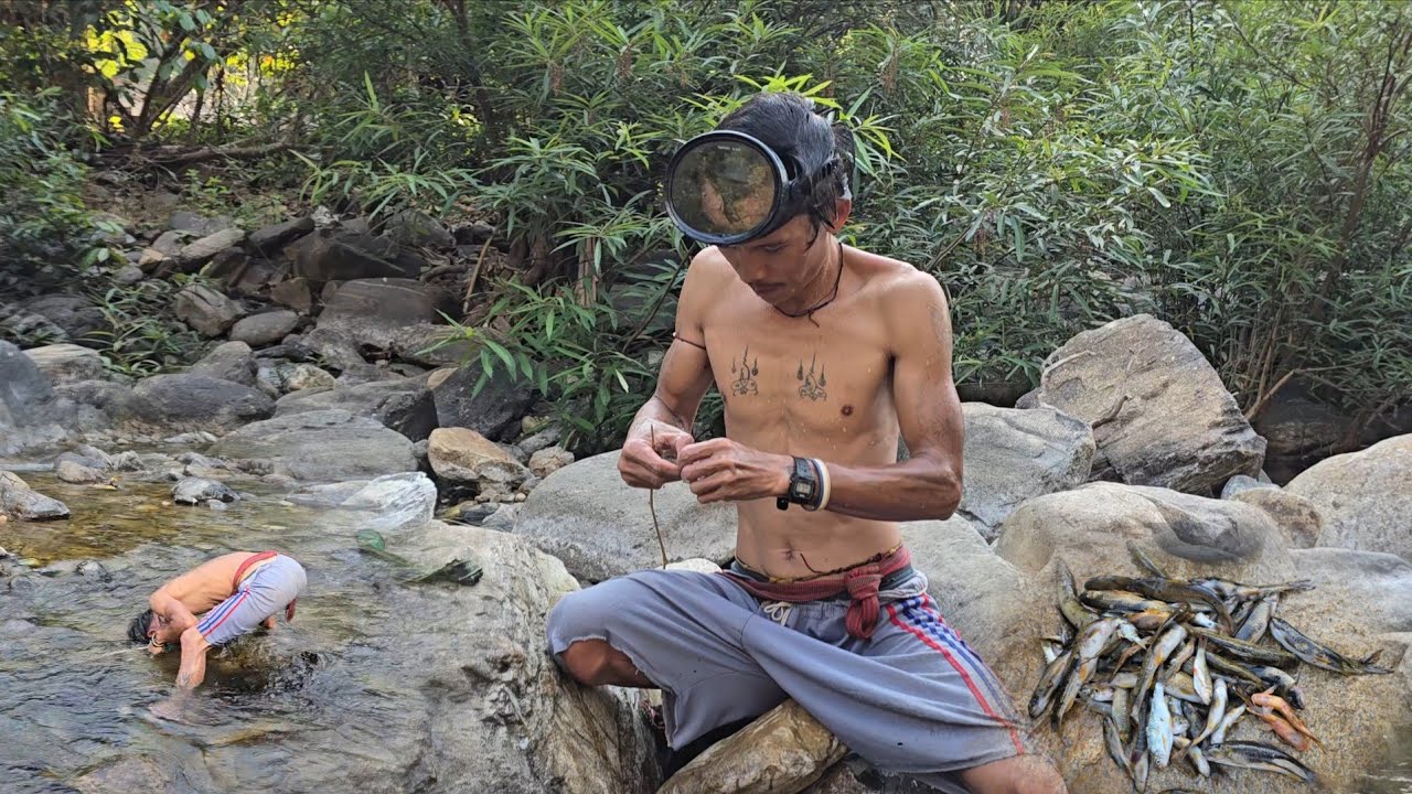 Let's find fish. 20/2/2026