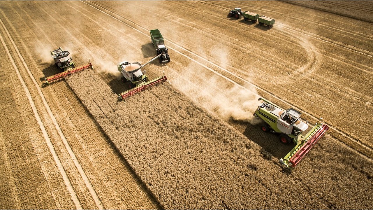 Agro-Farm Nauen - Ernte 2015 - Claas Lexion - Osters & Voß