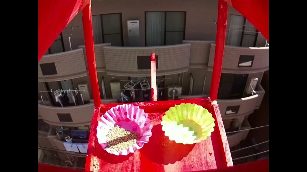 トリチューブ (BirdTube)