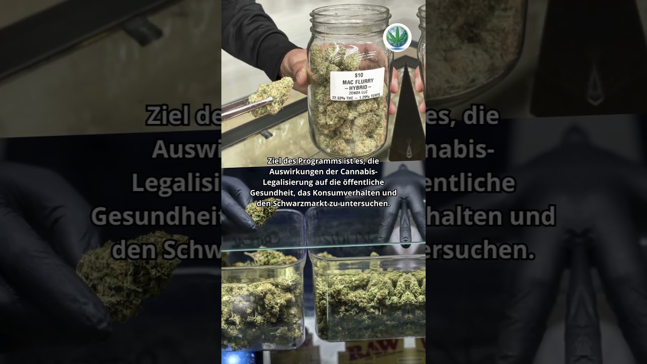 Einige Einwohner der Schweiz k&ouml;nnen nun legal Freizeit Cannabis in Apotheken kaufen #shorts