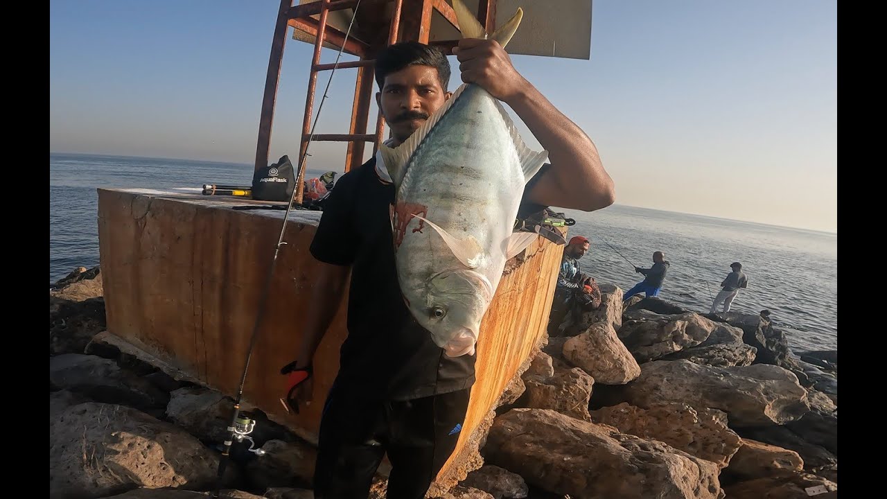 Hunting GT In Al Zorah Beach|| Jigging & Casting || Al Madina Marine Fishing✌️✌️