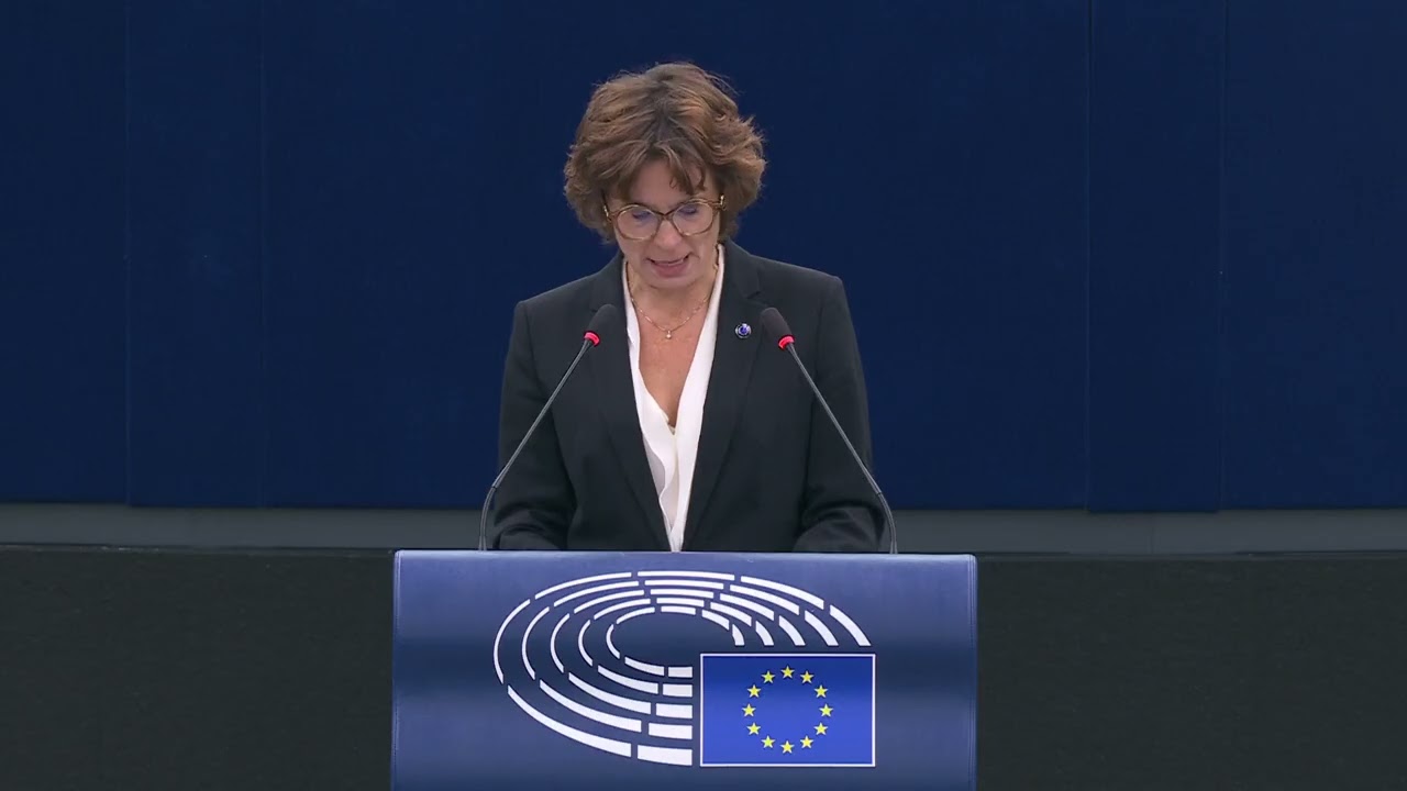 EU Parliament Adopts 2024 Petitions Report: Environment & Rights Debate | Europe | Nordic Today
