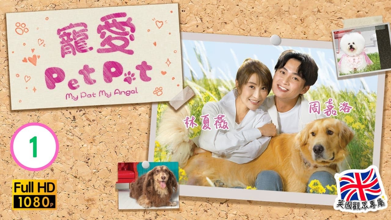 TVB愛情喜劇線上看 | 寵愛Pet Pet 01/20 | 林夏薇(惠婷)搬入西貢新環境 |林夏薇 |周嘉洛 |姜大衞 |粵語中字 |2023 |My Pet My Angel