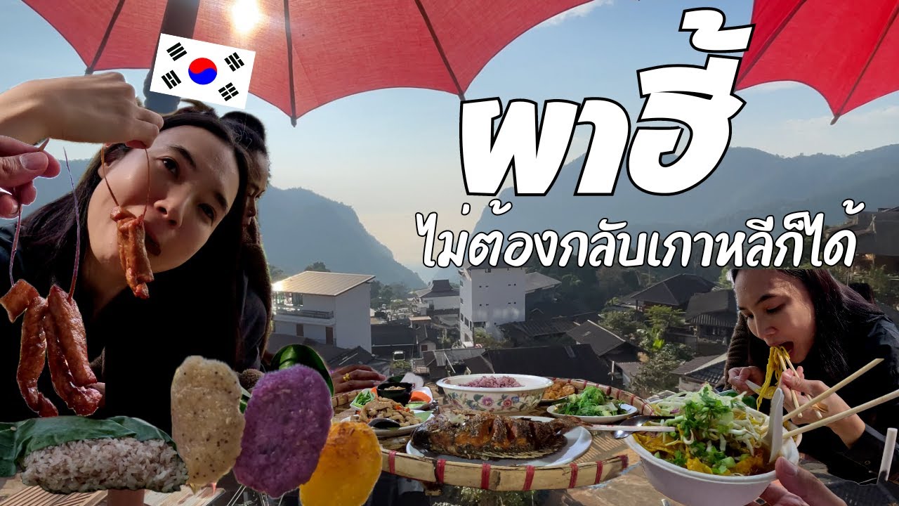 태국 치앙마이랑은 또 다른 치앙라이 여행! 파히 도이뚱 도이파땅