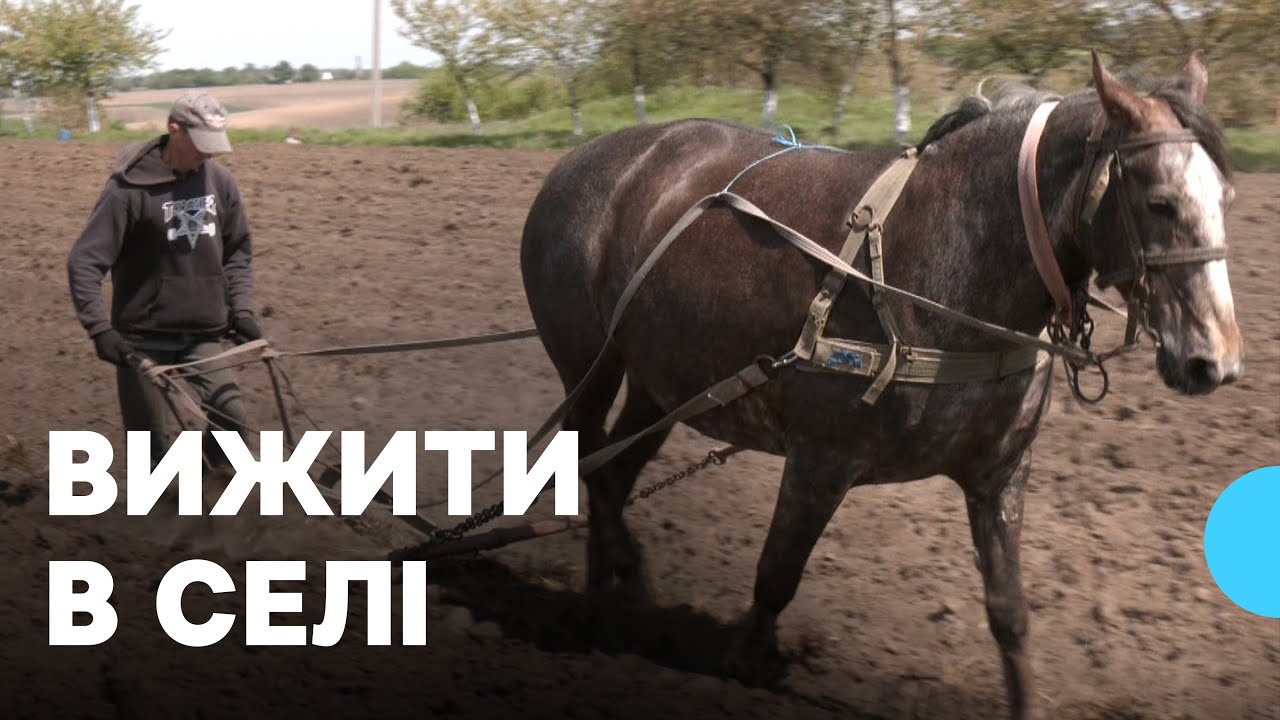 «В селі багатства не наживеш, тільки горба»: мешканці сіл на Волині про весняно-польові роботи