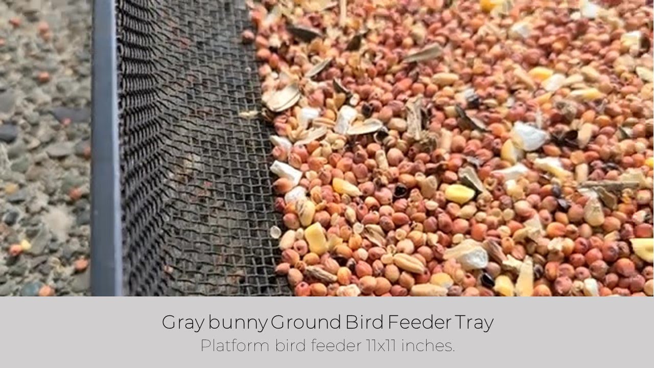 In Hand Review of Gray Bunny Ground Bird Feeder Tray