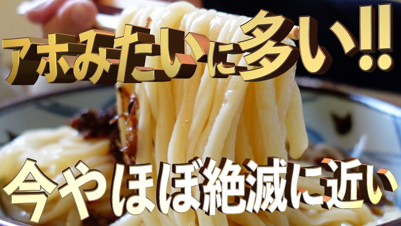 【アホみたいに多い!!・今やほぼ絶滅に近い‼︎・コシが強くて県内屈指の細麺うどん‼︎】最高な口コミ抜粋の3店舗まとめ‼︎【讃岐うどんの名店】香川県
