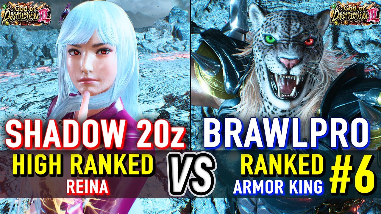 T8 🔥 SHADOW 20Z (Reina) vs BRAWLPRO (#6 Ranked Armor King) 🔥 Tekken 8 High Level Gameplay