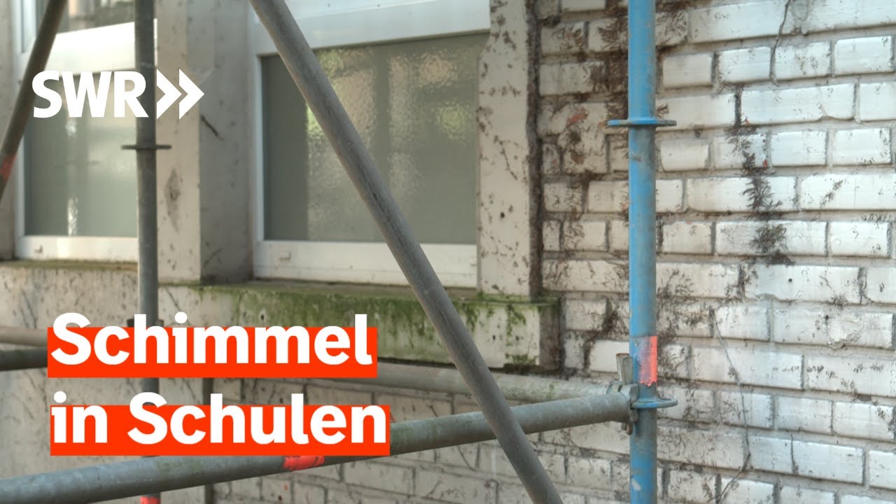 Marode Schulen - Schüler und Lehrer klagen | Zur Sache! Rheinland-Pfalz