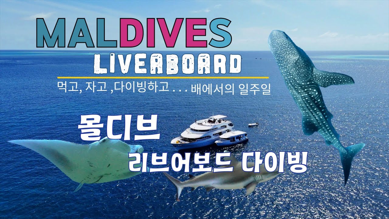 몰디브 리브어보드 (Maldives Liveaboard) 스쿠버 다이빙 일주일 여행기-Sailing the Maldives: A 7-Day Liveaboard Adventure