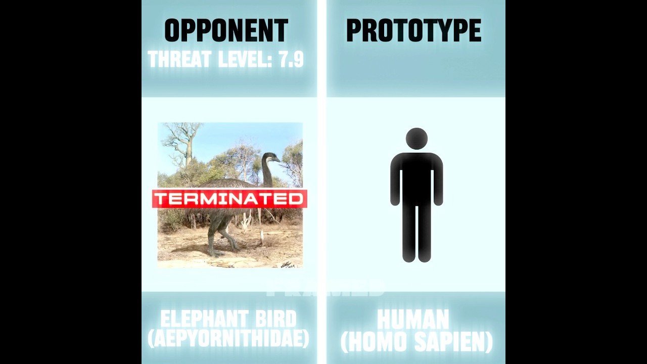 Terminated Edit - Human/Extinct Animal Edit #edit #phonk #nature #environment #memes #fyp #animals
