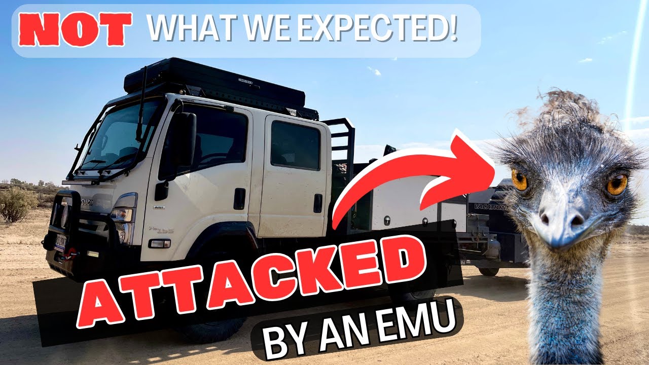 ATTACKED AT CAMP!! - The AUSTRALIAN 4X4 DESERT TRACKS ( OLD Strzelecki Track)- Outback Australia