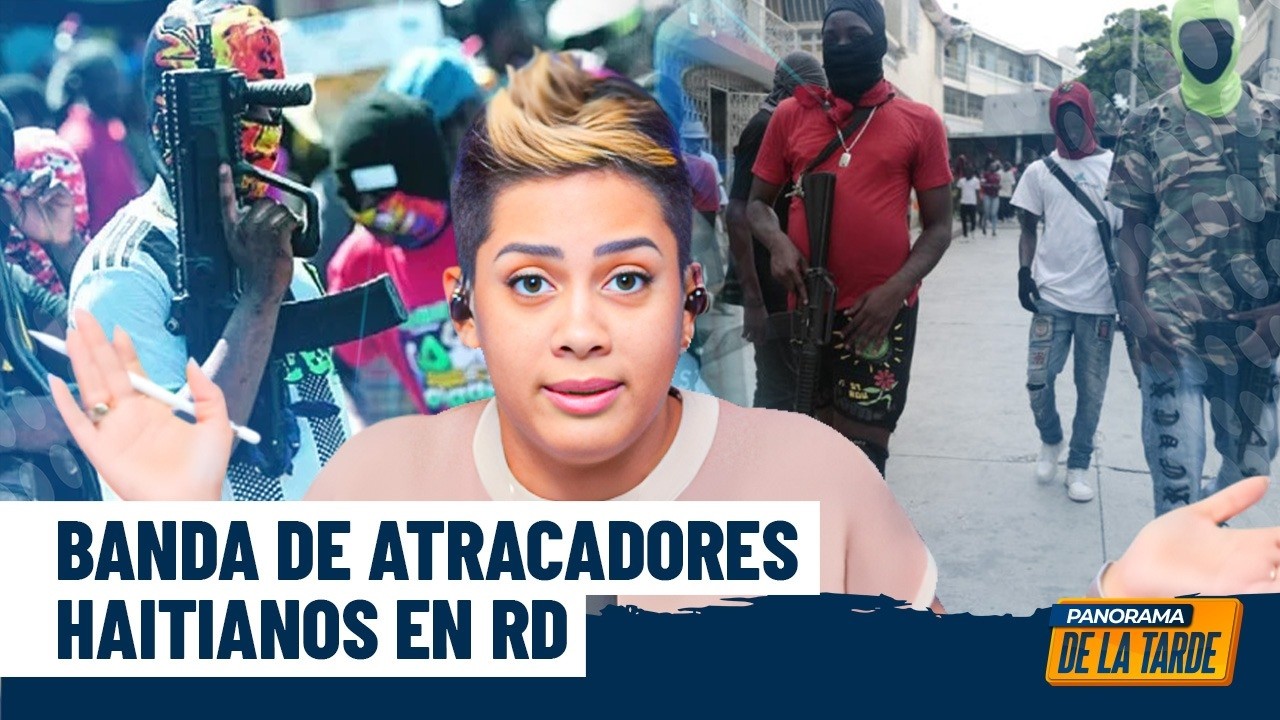 Danylsa Vargas: ¿Baja la delincuencia o sube la percepción de inseguridad? Y llamado a Dio Astacio