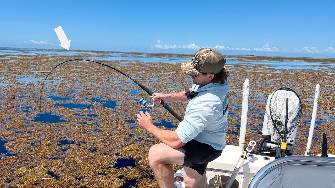 I Was 30 Miles Offshore And Found This Giant Weed Line LOADED With Fish! CCC *Big Announcment*