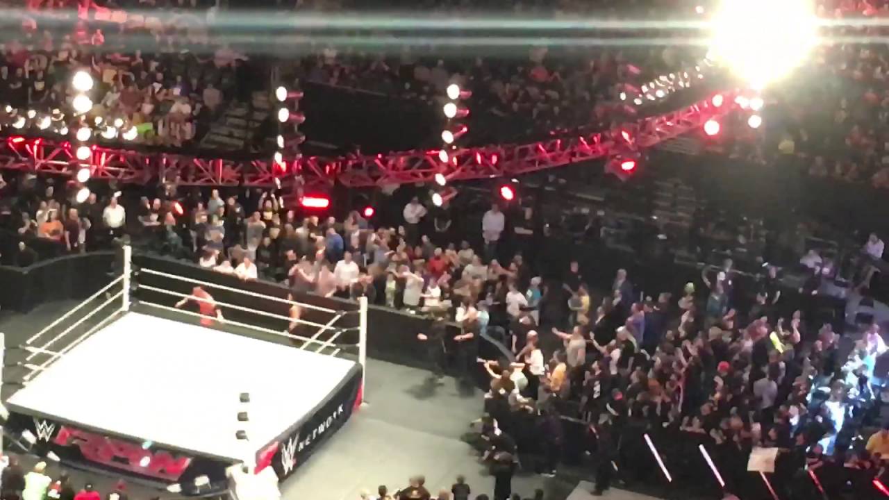 Roman reigns attacks triple h
