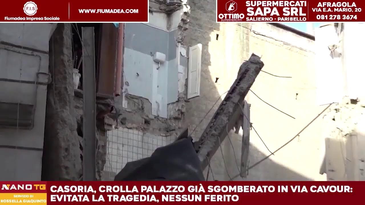 NanoTG del Sabato - Edizione del 24 gennaio 2025
