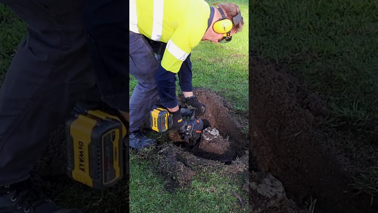 A Tree Stump Removal That's Quick and Easy!  #landscaping #allsaw