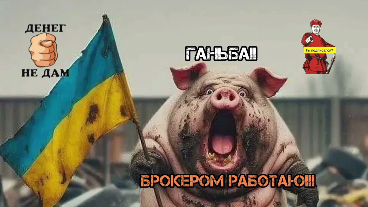 СВИНОБРОКЕР ПОЗВОНИЛ,ОЧЕНЬ СИЛЬНО УДИВИЛ. БЕЗ ВОПРОСОВ РЕКТОР МГУ ЛОМОНОСОВ!!! 
