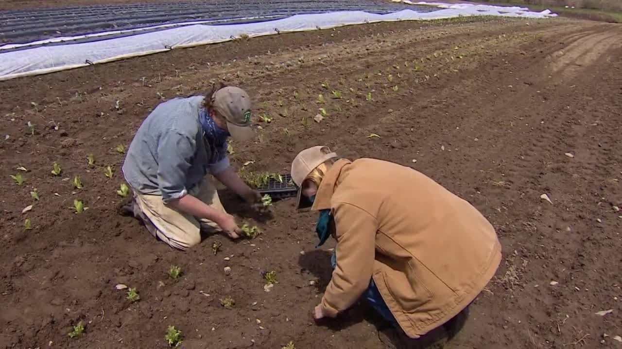Equity in Farming in Massachusetts