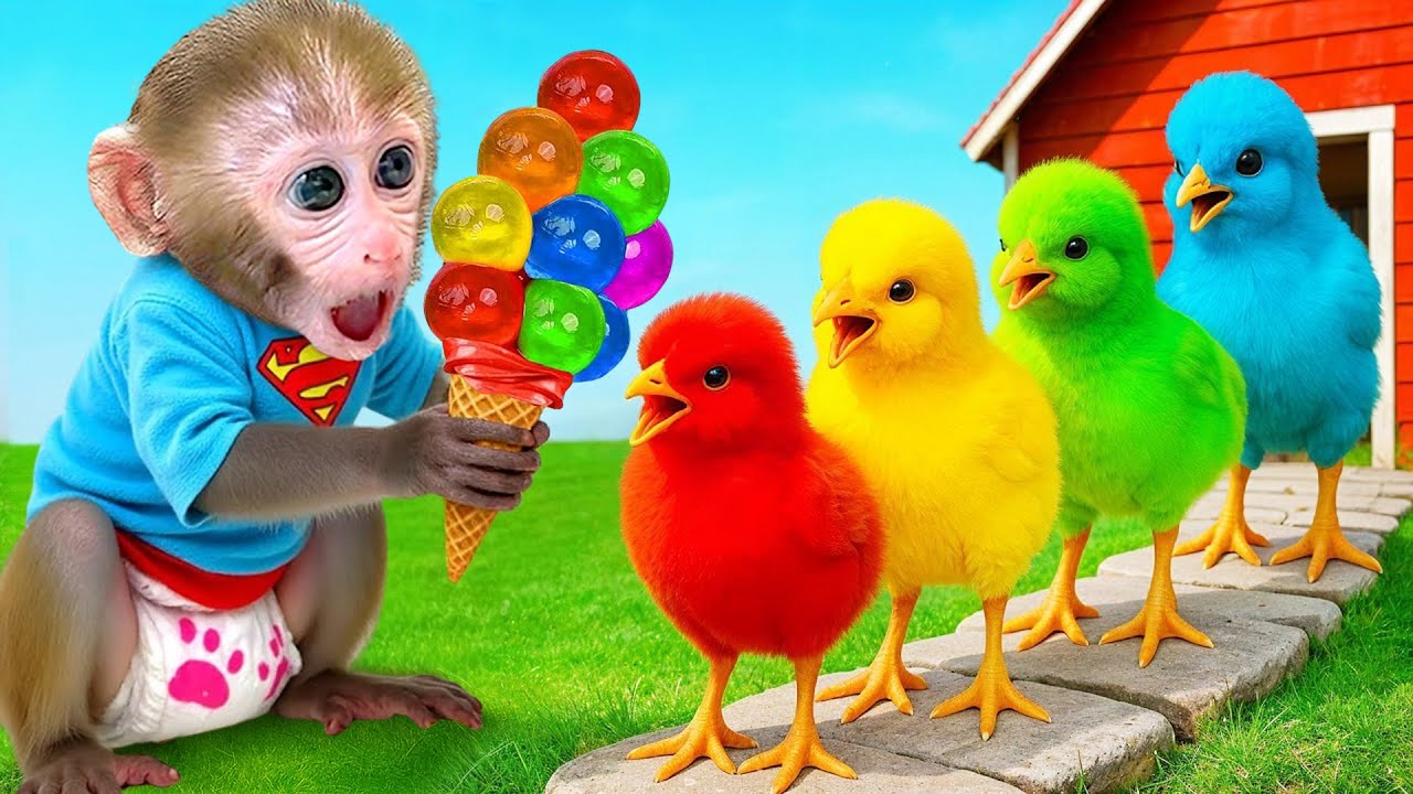 Monyet Bon Bon Imut memanen buah-buahan dan membuat jelly pelangi di peternakan