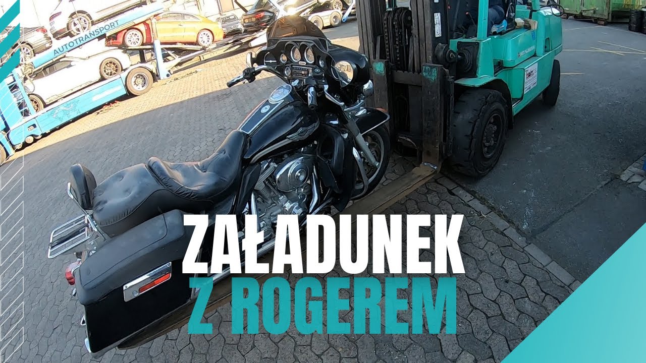 CAMARO, Audi A5, Harley Davidson, 8 samochodów, 1 motocykl | AndrzejWielkiR.