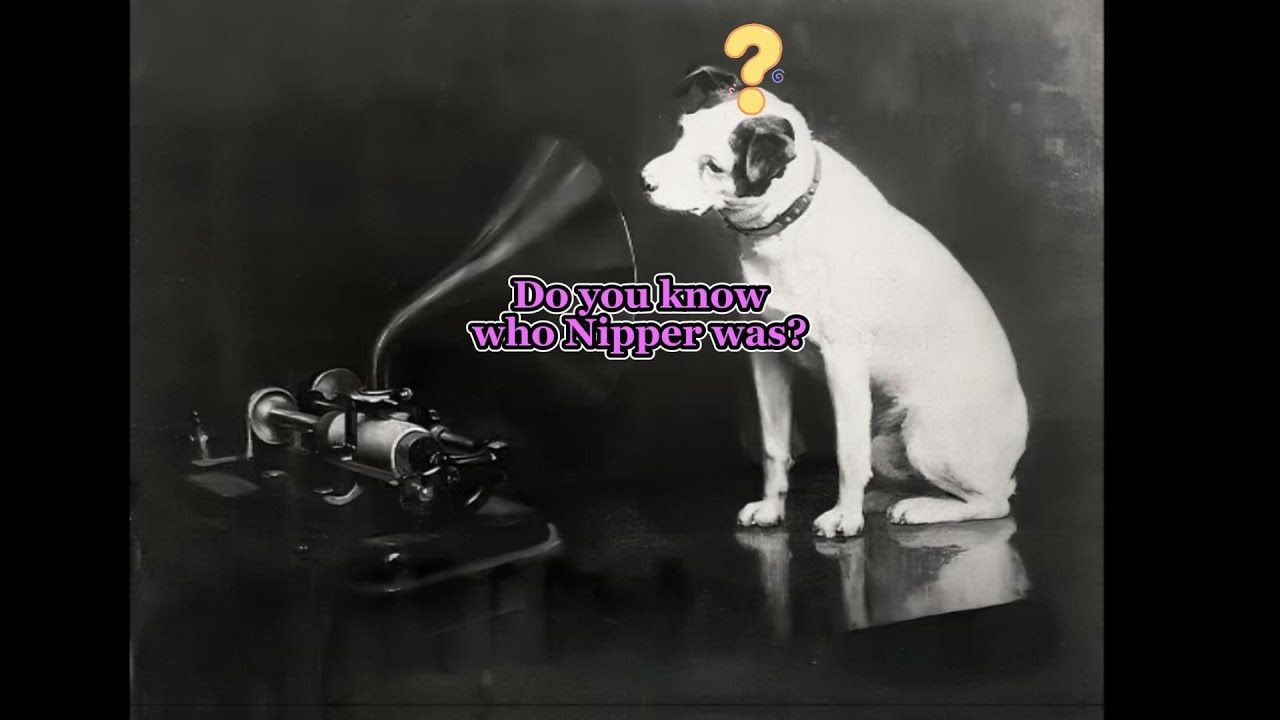 Nipper The Real Dog Behind 'His Master's Voice