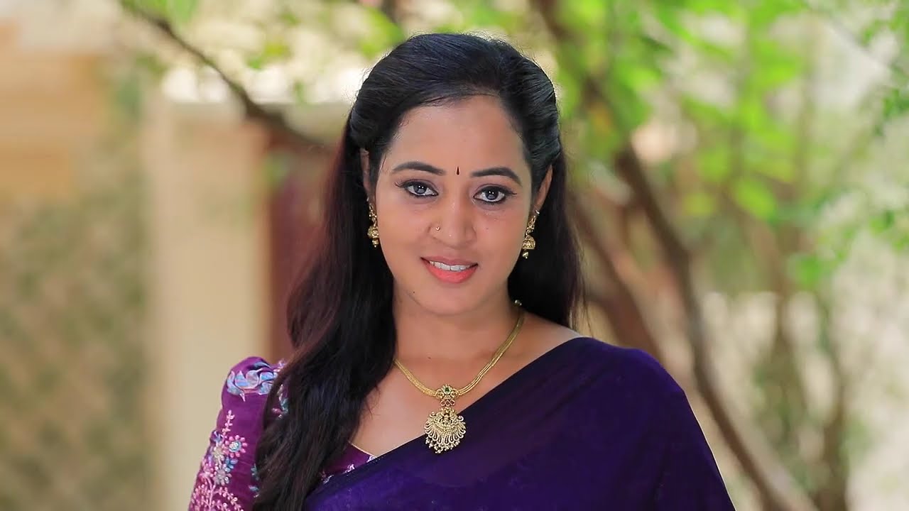 Manasellam - Full Ep - 117 - Karigalan, Arul, Nandhini - Zee Tamil