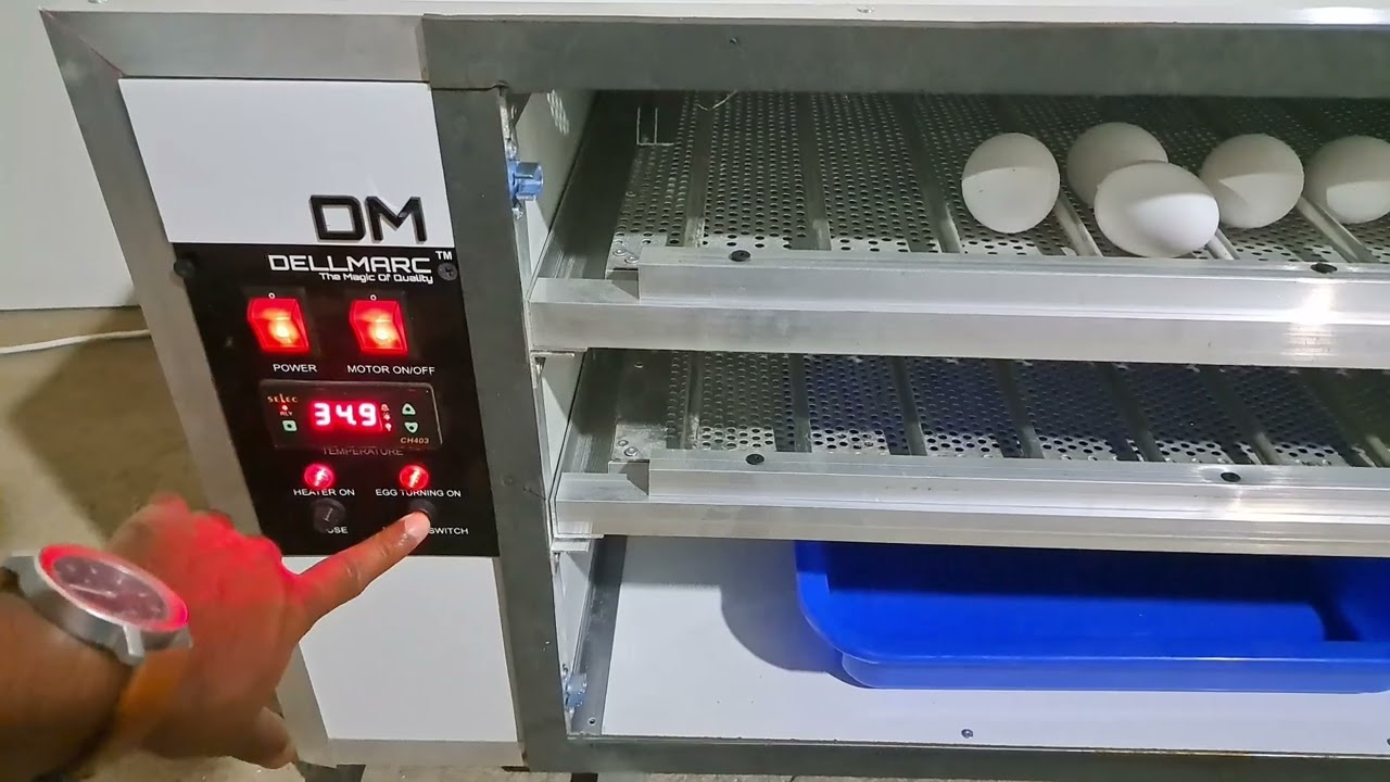 200 Egg Incubator #besteggincubator #eggincubator #hatchery #poultry #chicks #poultryfarm #diy