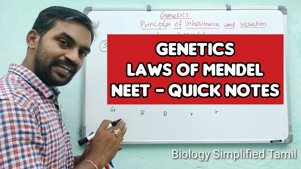 Genetics - Laws of Mendel | Tamil | Senthilnathan