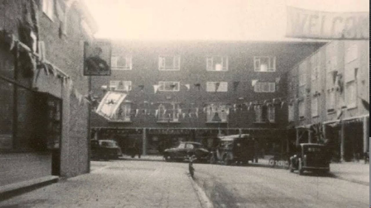 Harlow Nostalgia 3