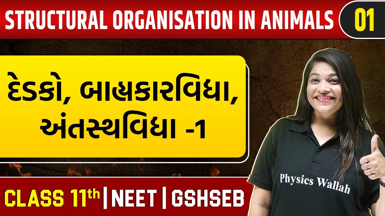 STRUCTURAL ORGANISATION IN ANIMALS 01 | દેડકો, બાહ્યકારવિદ્યા | Zoology | Class 11th/NEET/GSHSEB