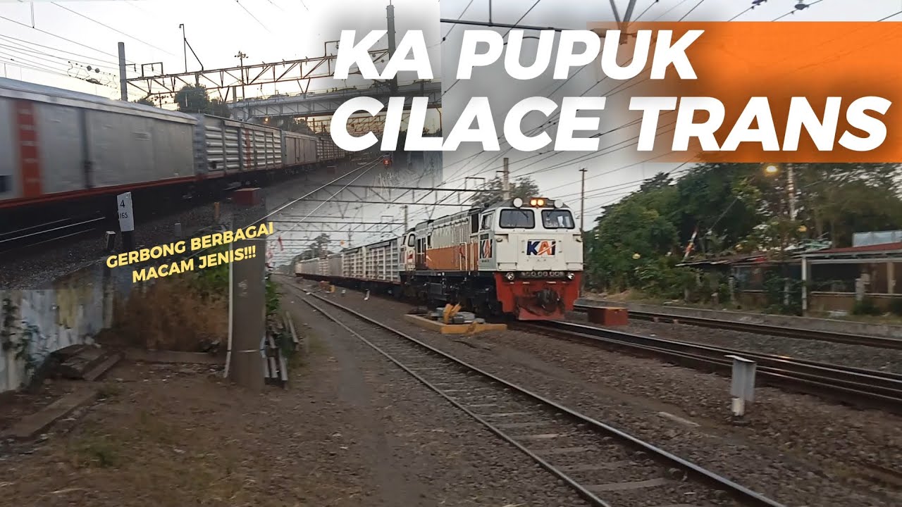 KERETA PUPUK LANGKA ‼️ - KA CILACE TRANS