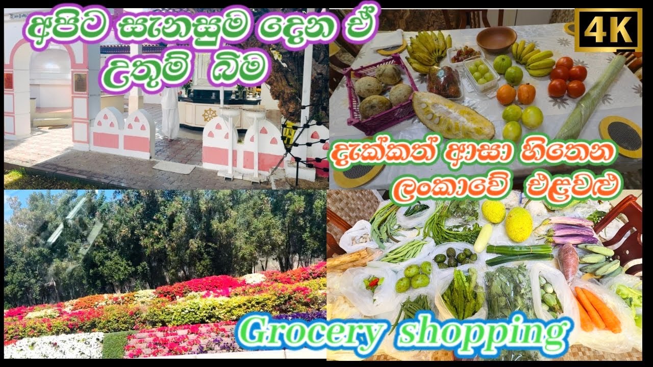  Grocery Shopping 🛒 ඔන්න පංසල් ගිහින් එන ගමන් ගෙනාව ලංකාවේ එළවලු පළතුරු බලන්න එන්න 😁