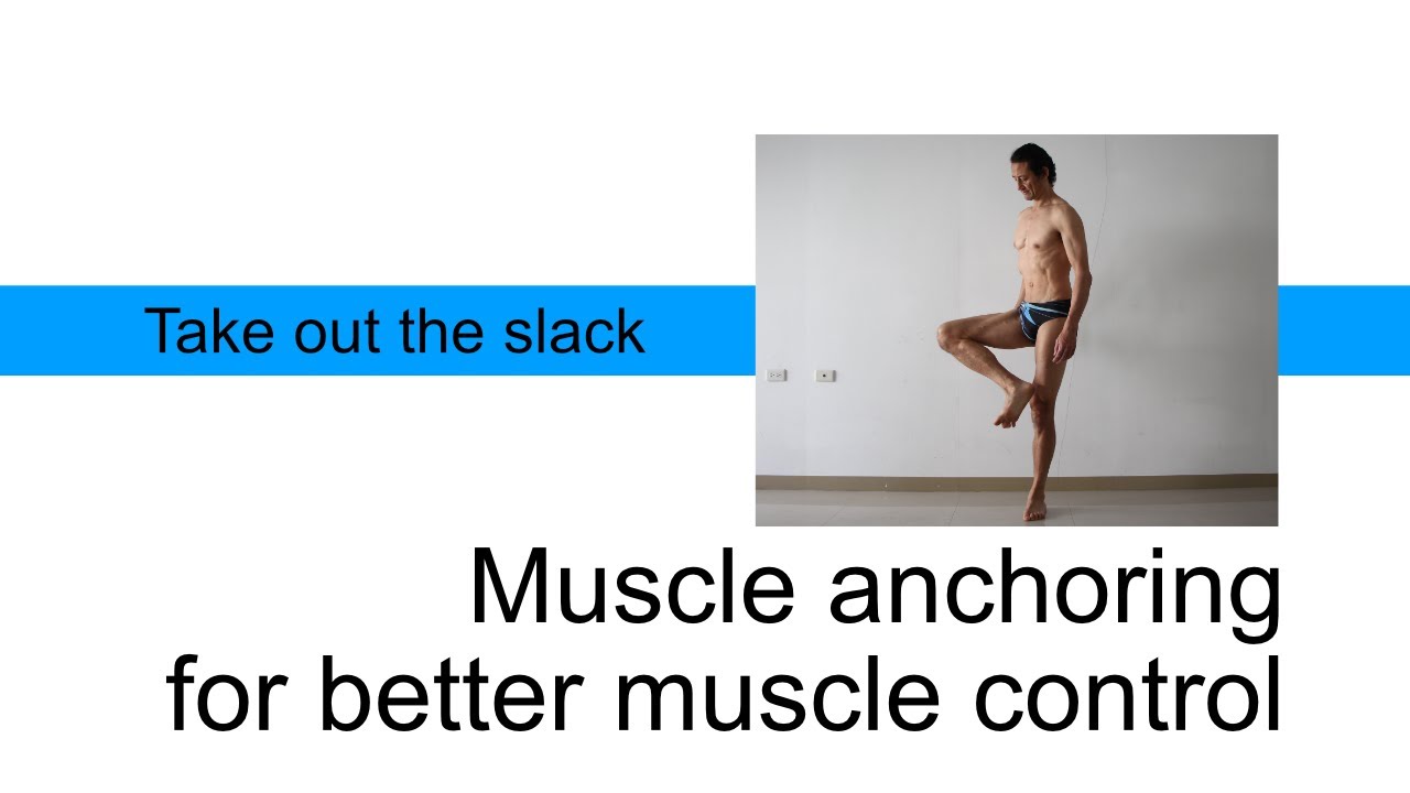 Muscle anchoring for better muscle control