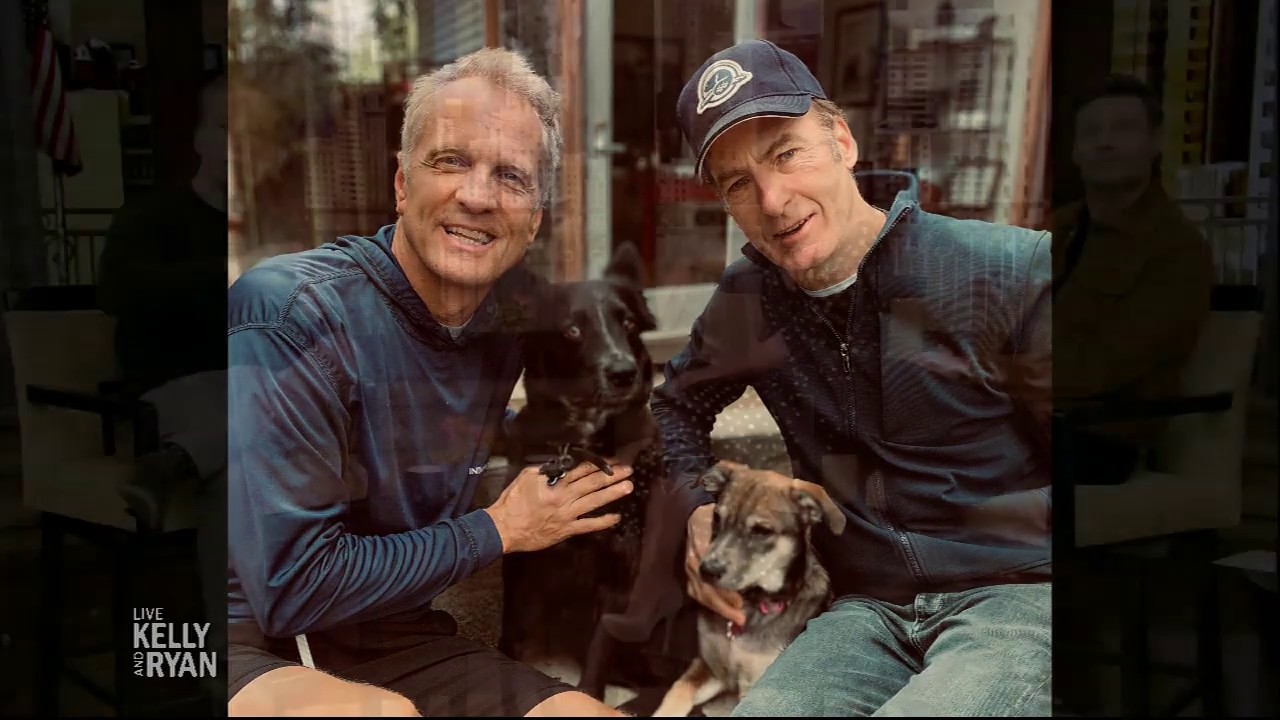 Bob Odenkirk Rescued a Pregnant Dog
