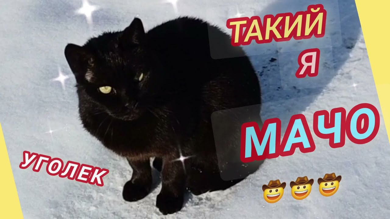 @THAT'S WHAT I'M MACHO UGOLEK🤠🤠🤠