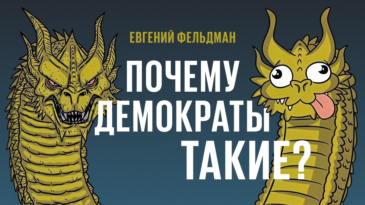 Проблемы и перспективы демократов. Подробный разбор