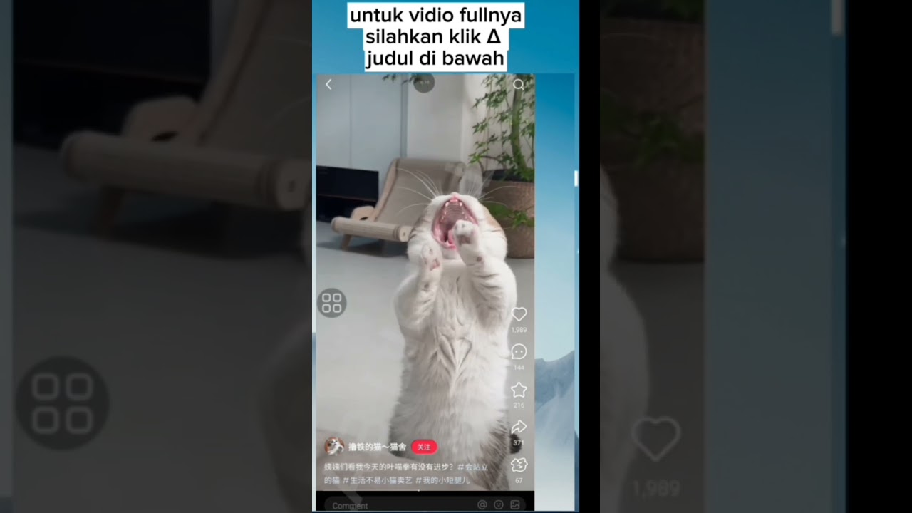 YouTuber Pemula Gajian 36jt Sebulan Dari Shorts Tanpa Muka-Tutorial YouTube 2025